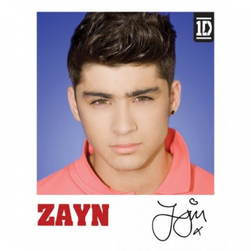 One Direction Zayn Polaroid Mini Poster Wall Decoration
