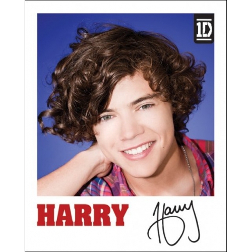 One Direction Harry Polaroid Mini Poster Wall Decoration