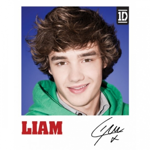 One Direction Liam Polaroid Mini Poster Wall Decoration