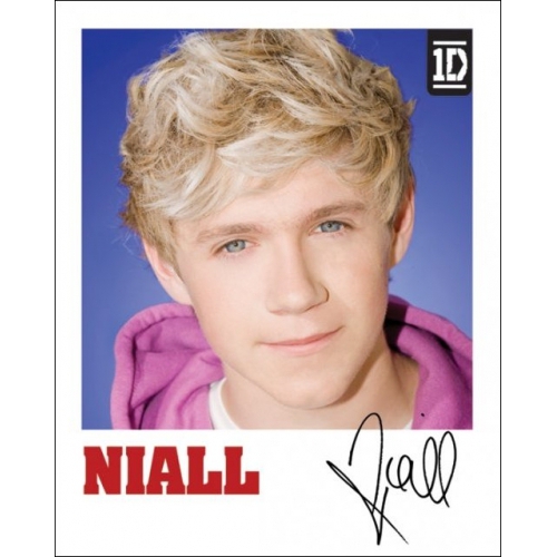 One Direction Niall Polaroid Mini Poster Wall Decoration