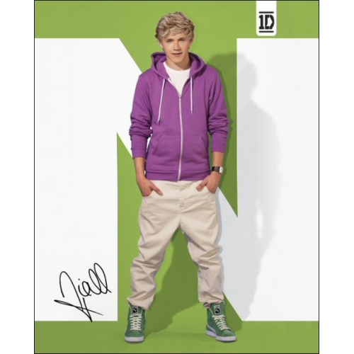 One Direction Niall Mini Poster Wall Decoration