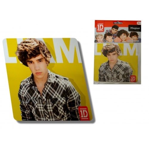 One Direction Liam Flat Magnets Decoration