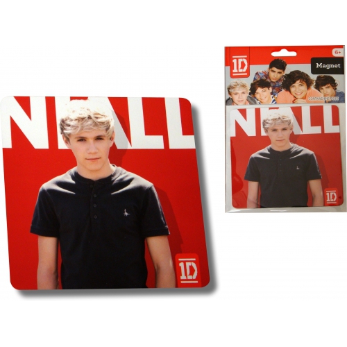 One Direction Niall Flat Magnets Decoration