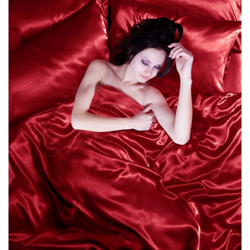 Red 6pc Satin Bedding Duvet Cover Set in single double King super king size