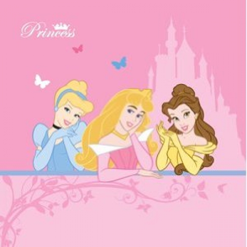 Disney Princess Canvas Art