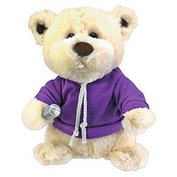 One Direction Singing Bear' 9 inch Purple Plush Soft Toy