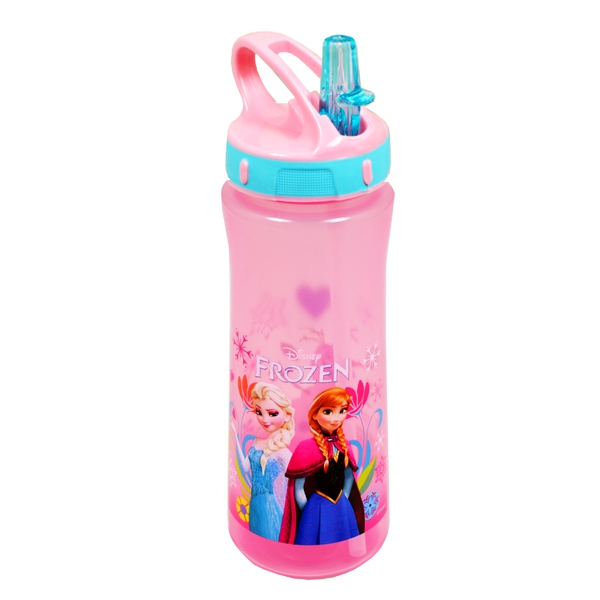 Disney Frozen Elsa & Anna 'Follow Your Heart' Europa Watter Bottle