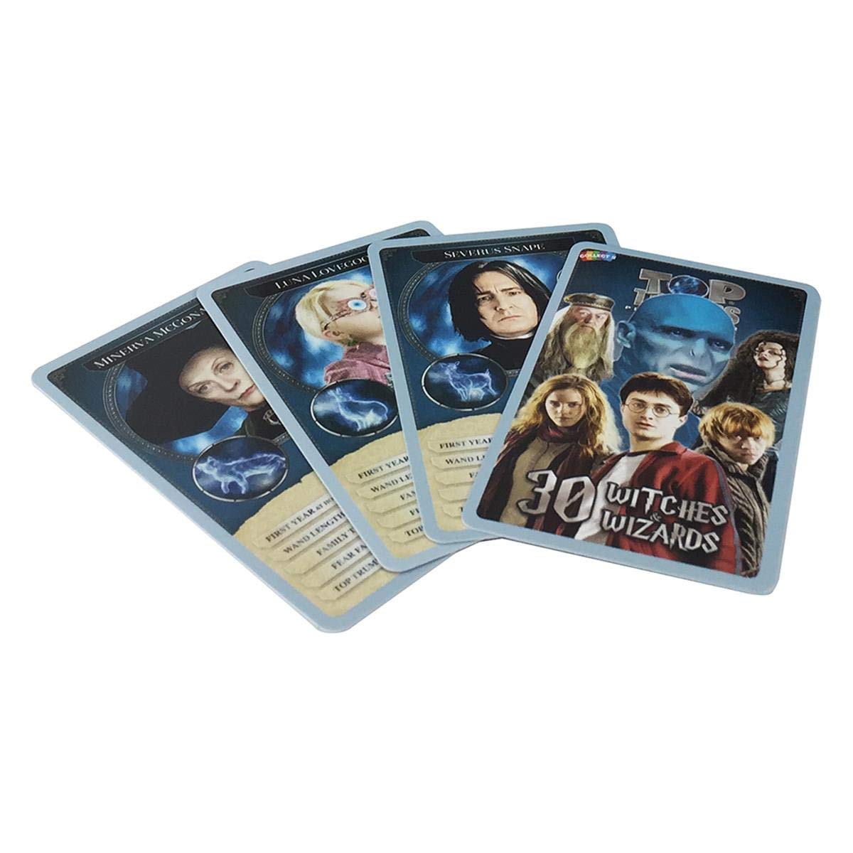 Harry Potter Witches and Wizard Tin Card Game