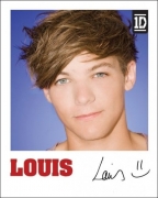 One Direction Louis Polaroid Mini Poster Wall Decoration