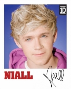 One Direction Niall Polaroid Mini Poster Wall Decoration