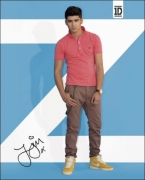 One Direction Zayn Mini Poster Wall Decoration