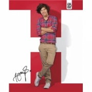 One Direction Harry Mini Poster Wall Decoration