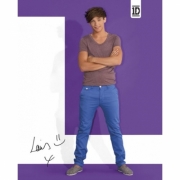 One Direction Louis Mini Poster Wall Decoration