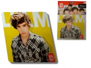 One Direction Liam Flat Magnets Decoration